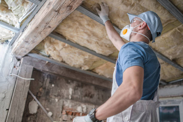 Best Types of Insulation in Verde Village, AZ